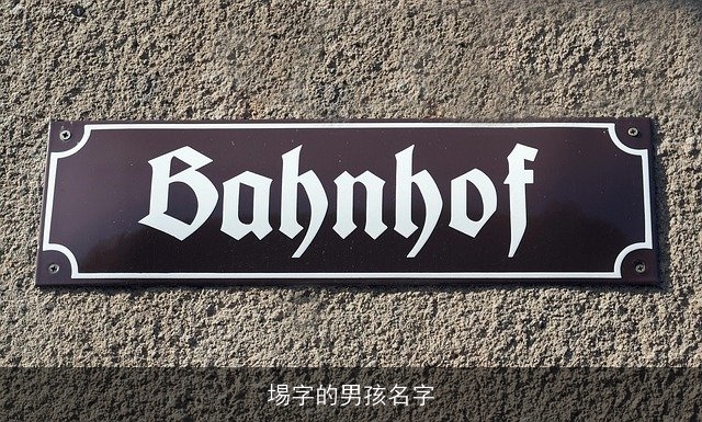 埸字的男孩名字