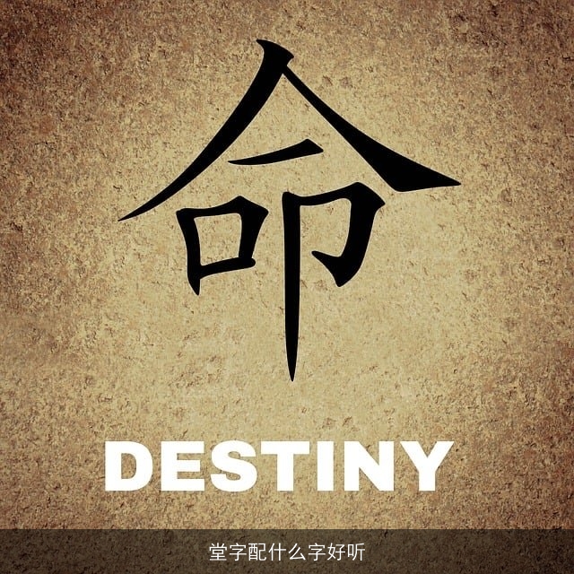 堂字配什么字好听