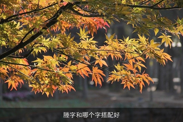 塍字和哪个字搭配好