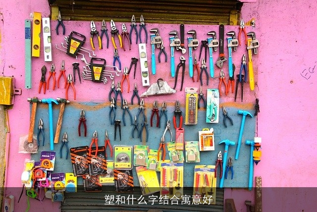 塑和什么字结合寓意好