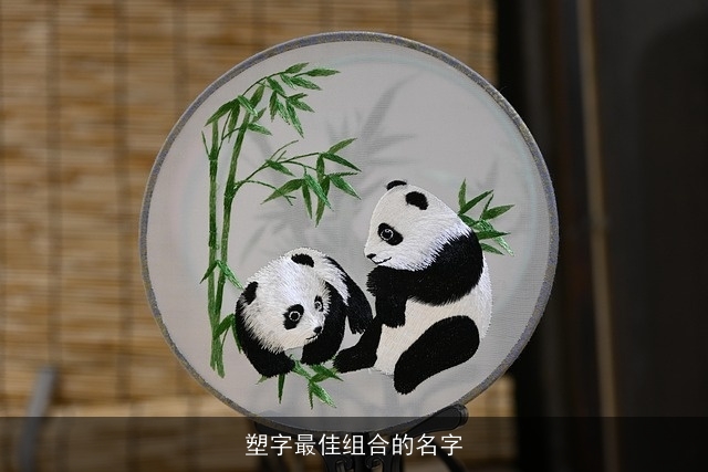 塑字最佳组合的名字