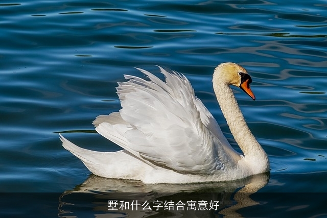 墅和什么字结合寓意好