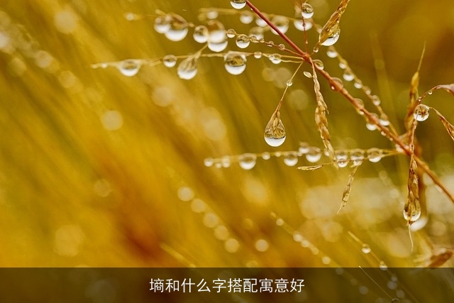 墒和什么字搭配寓意好