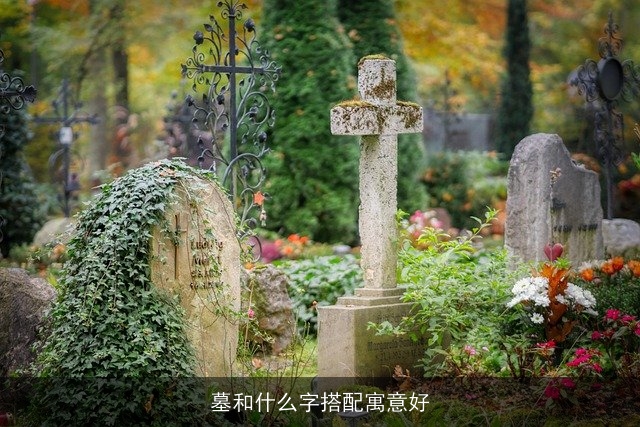 墓和什么字搭配寓意好