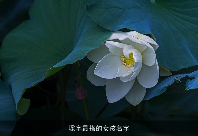 墚字最搭的女孩名字