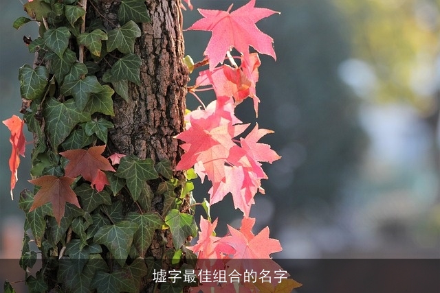 墟字最佳组合的名字