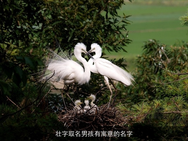 壮字取名男孩有寓意的名字