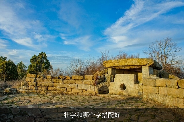 壮字和哪个字搭配好