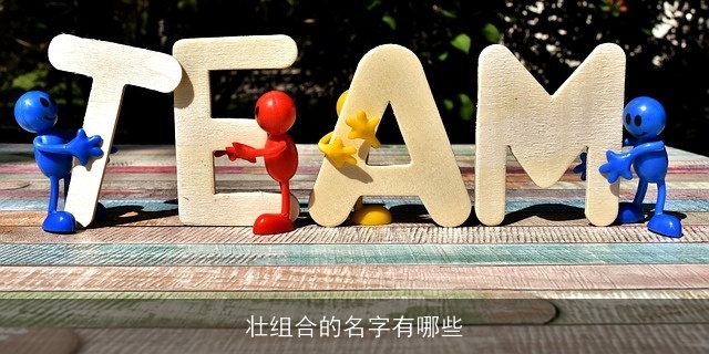 壮组合的名字有哪些