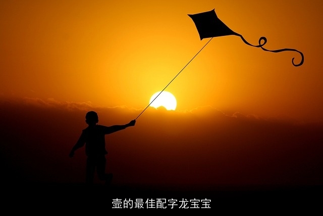 壸的最佳配字龙宝宝