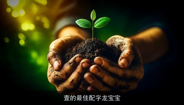 壹的最佳配字龙宝宝
