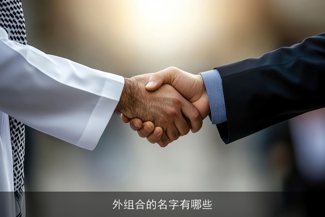 外组合的名字有哪些