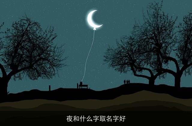 夜和什么字取名字好