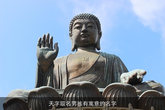 天字取名男孩有寓意的名字