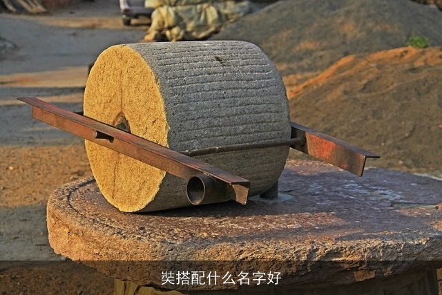 奘搭配什么名字好
