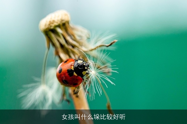 女孩叫什么垛比较好听