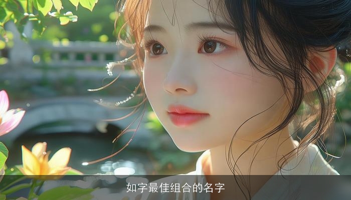 如字最佳组合的名字