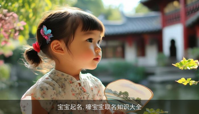 宝宝起名,嚎宝宝取名知识大全
