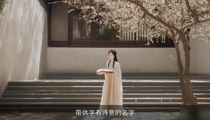 带供字有诗意的名字