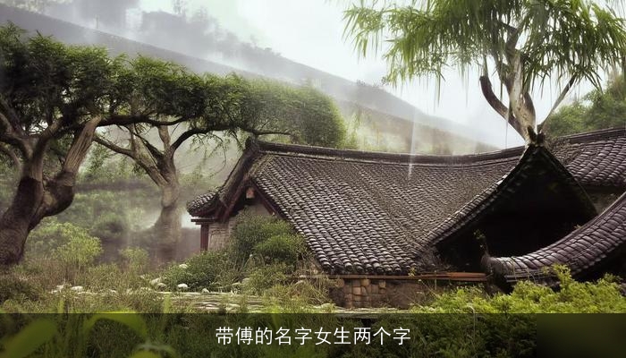带傅的名字女生两个字