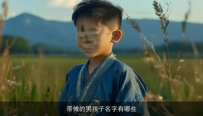 带傩的男孩子名字有哪些