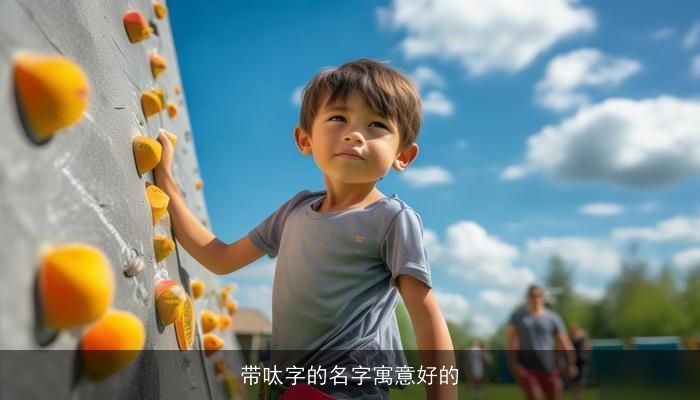 带呔字的名字寓意好的