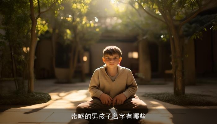 带嘘的男孩子名字有哪些