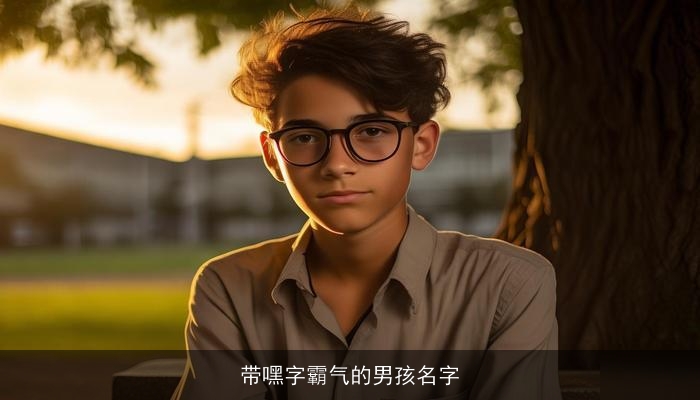 带嘿字霸气的男孩名字