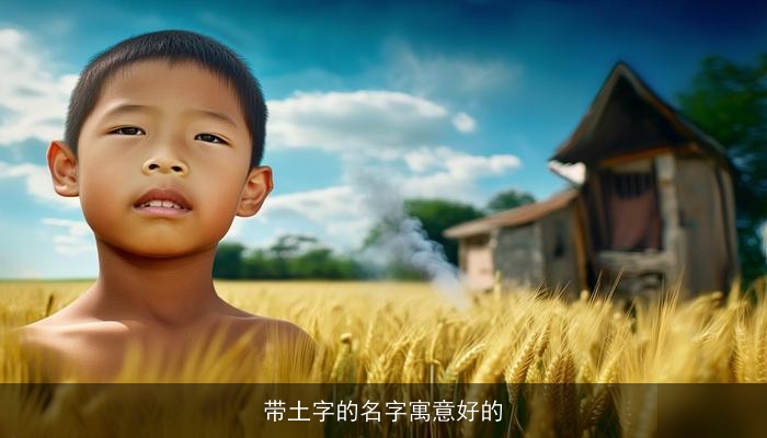 带土字的名字寓意好的
