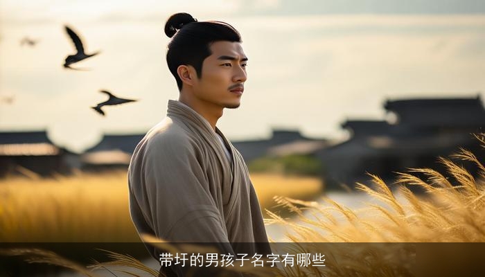 带圩的男孩子名字有哪些