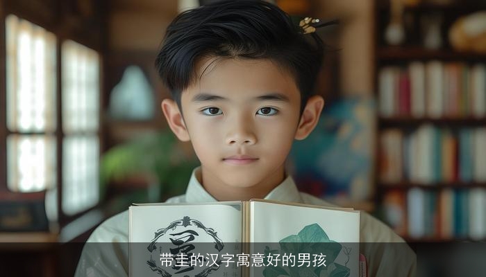 带圭的汉字寓意好的男孩
