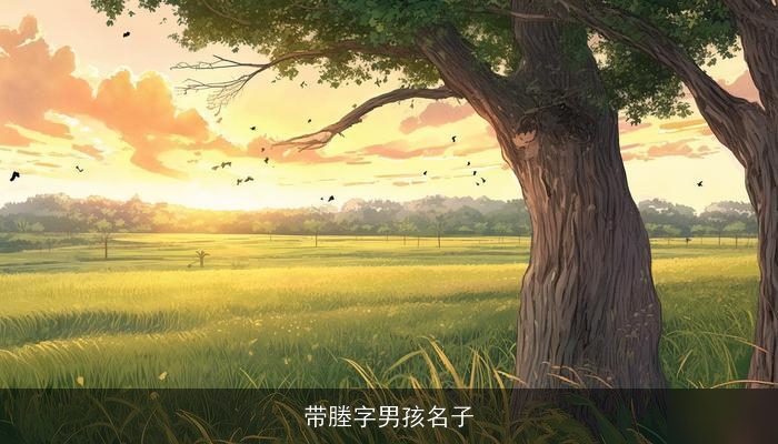 带塍字男孩名子