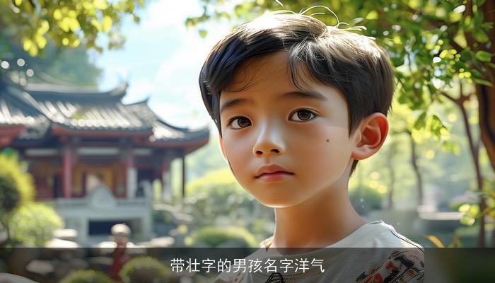 带壮字的男孩名字洋气