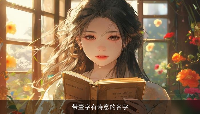 带壹字有诗意的名字