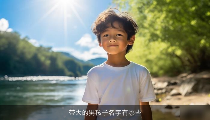 带大的男孩子名字有哪些