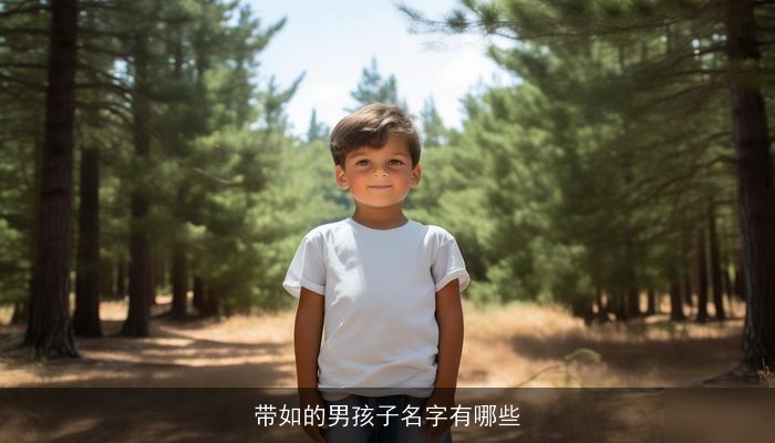 带如的男孩子名字有哪些