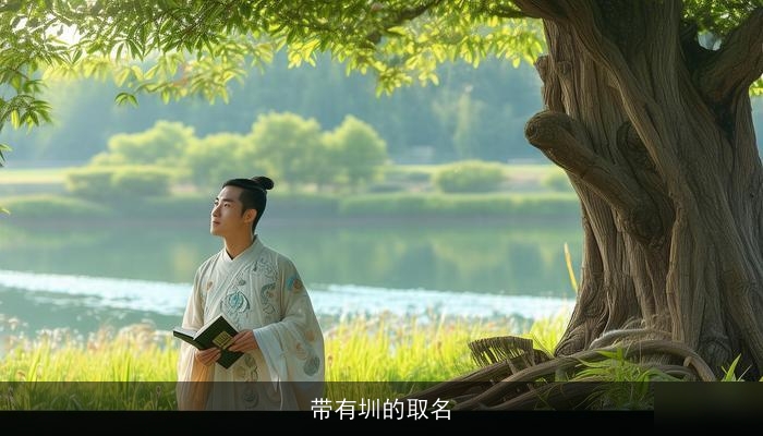 带有圳的取名