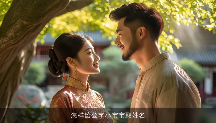 怎样给公字小宝宝取姓名