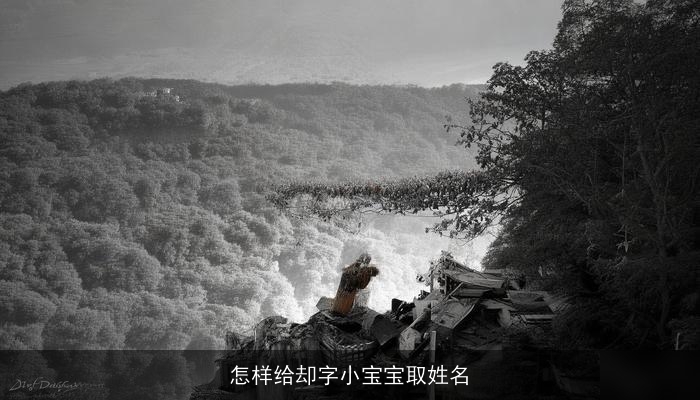 怎样给却字小宝宝取姓名