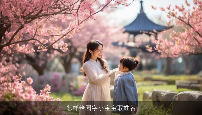 怎样给园字小宝宝取姓名