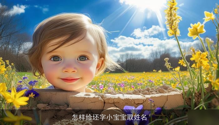 怎样给坯字小宝宝取姓名