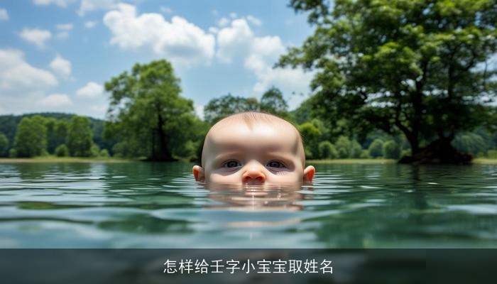 怎样给壬字小宝宝取姓名