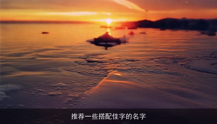 推荐一些搭配佳字的名字