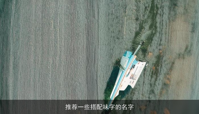 推荐一些搭配味字的名字