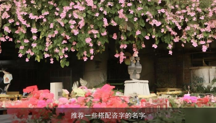 推荐一些搭配咨字的名字