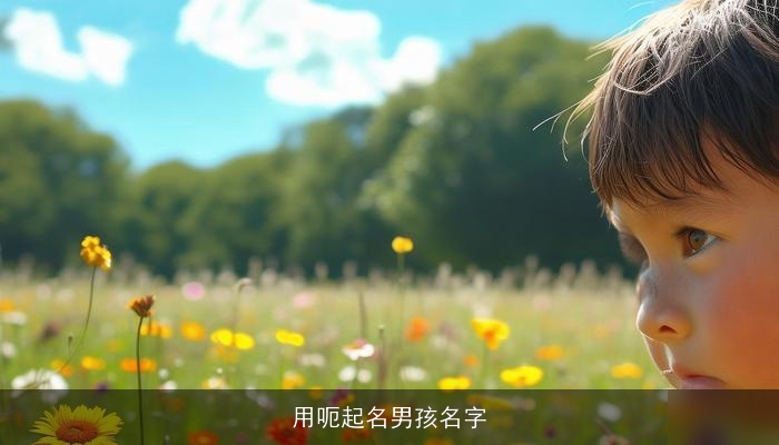 用呃起名男孩名字