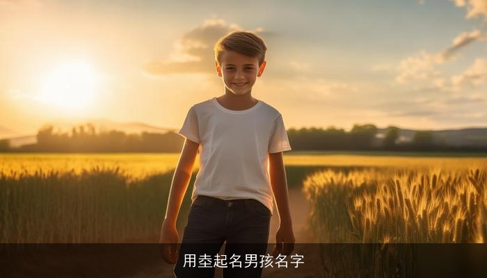 用坴起名男孩名字