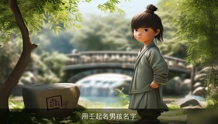 用壬起名男孩名字